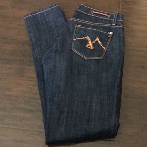 Size 28 5/6 skinny jeans